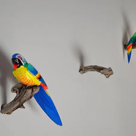 Hotel Rural Lindos Suenos La Lomba