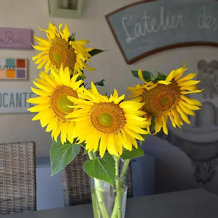 Szálloda Rural Lindos Suenos *