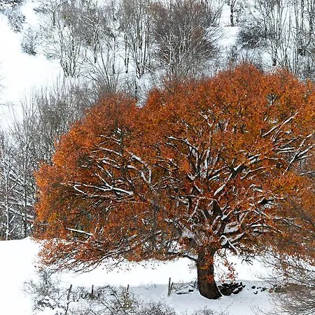 Rural Lindos Suenos La Lomba
