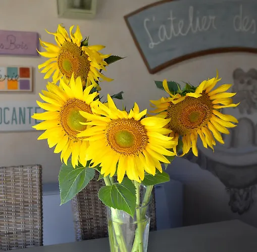 Hotel Rural Lindos Suenos *